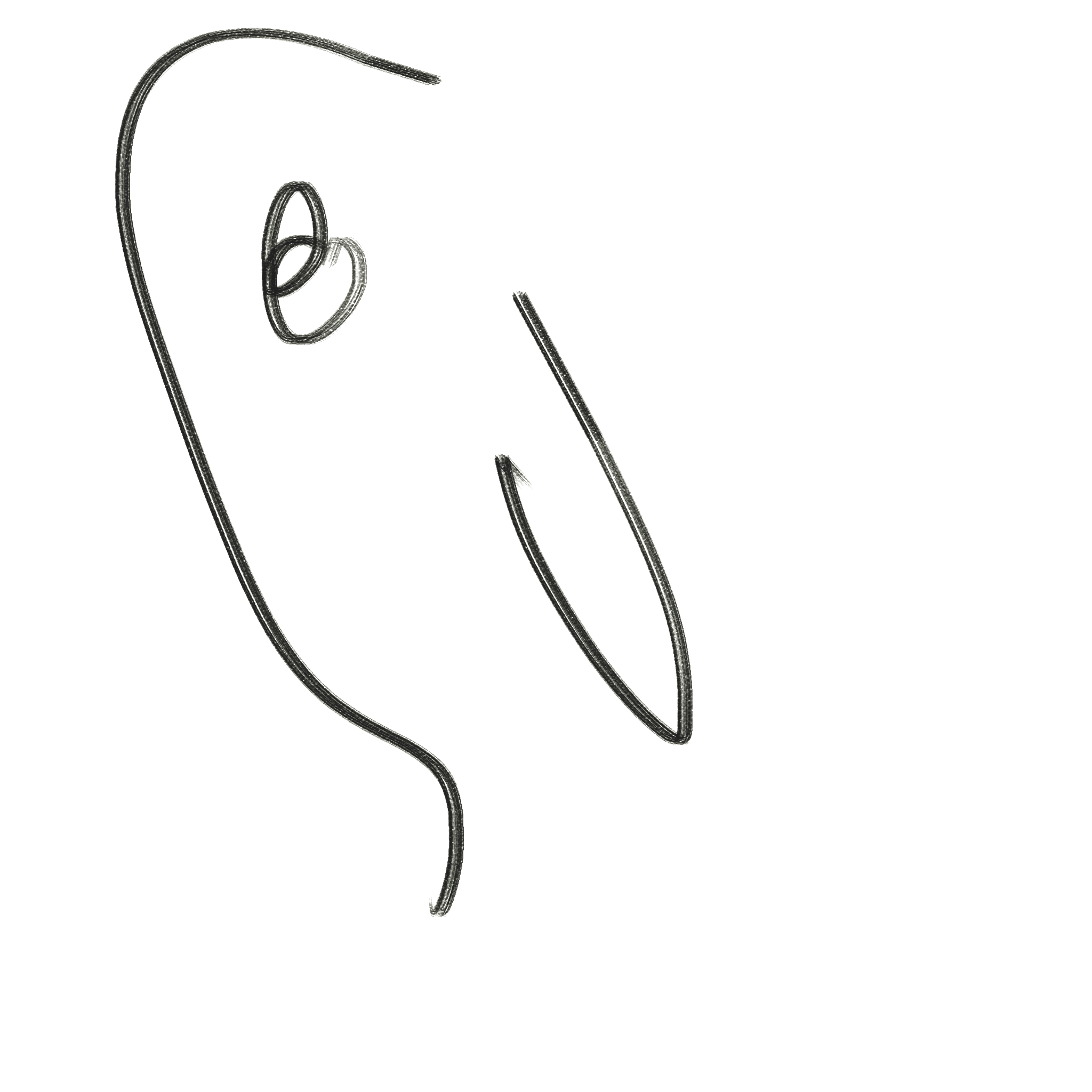 birdy
