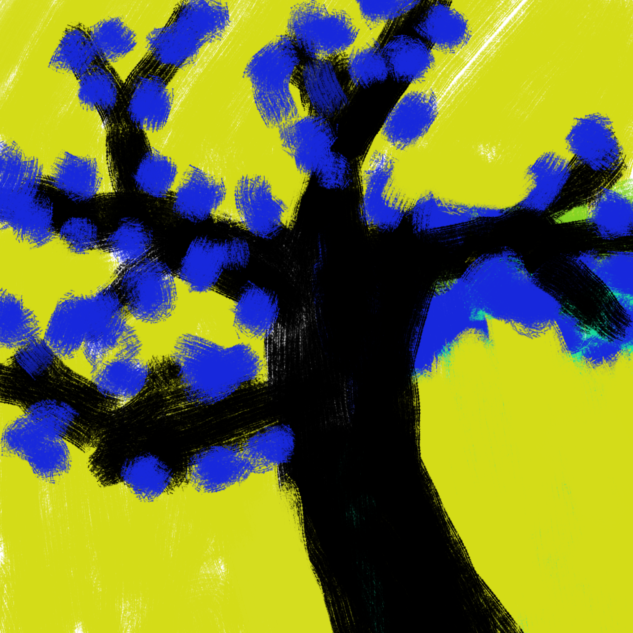 blossom