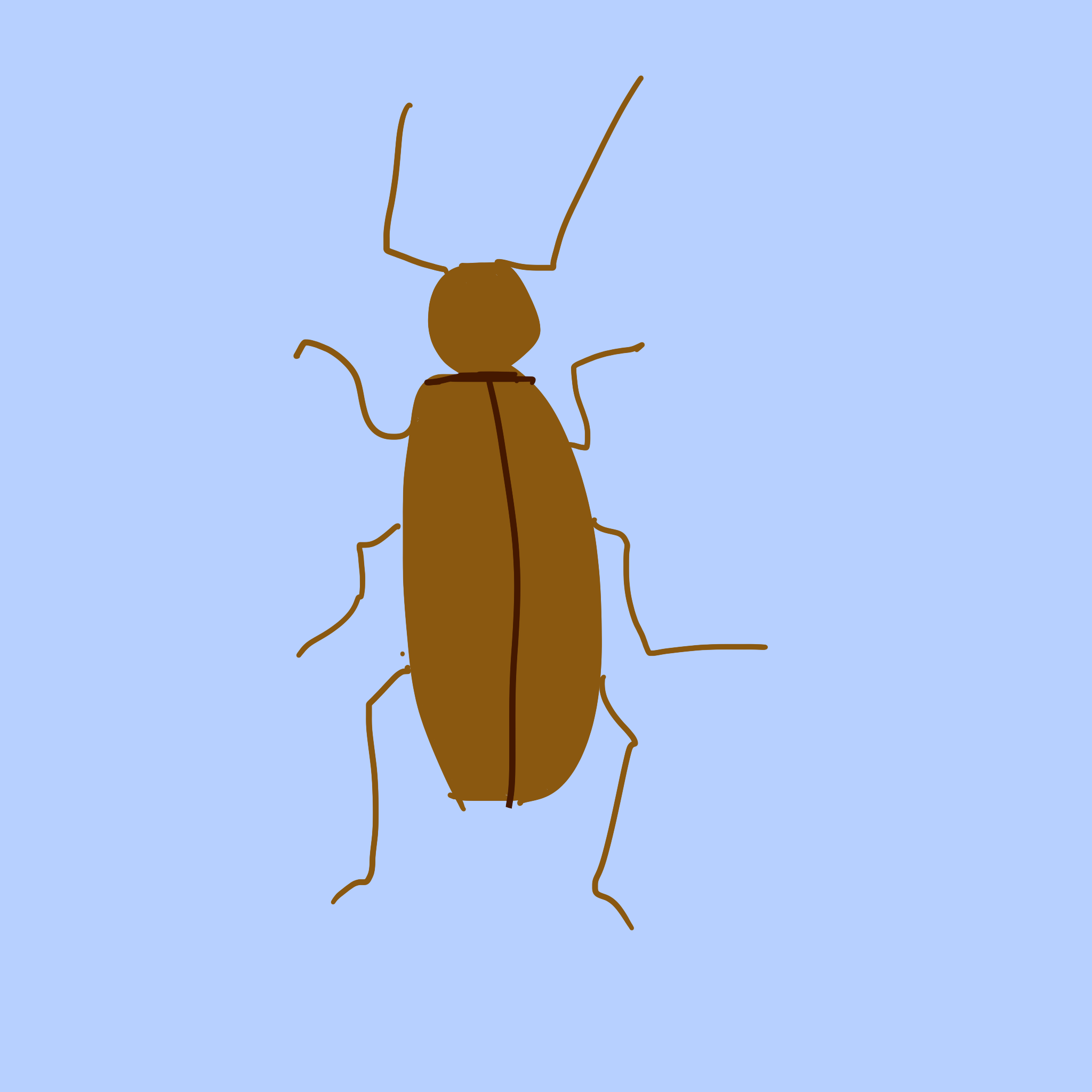 borer