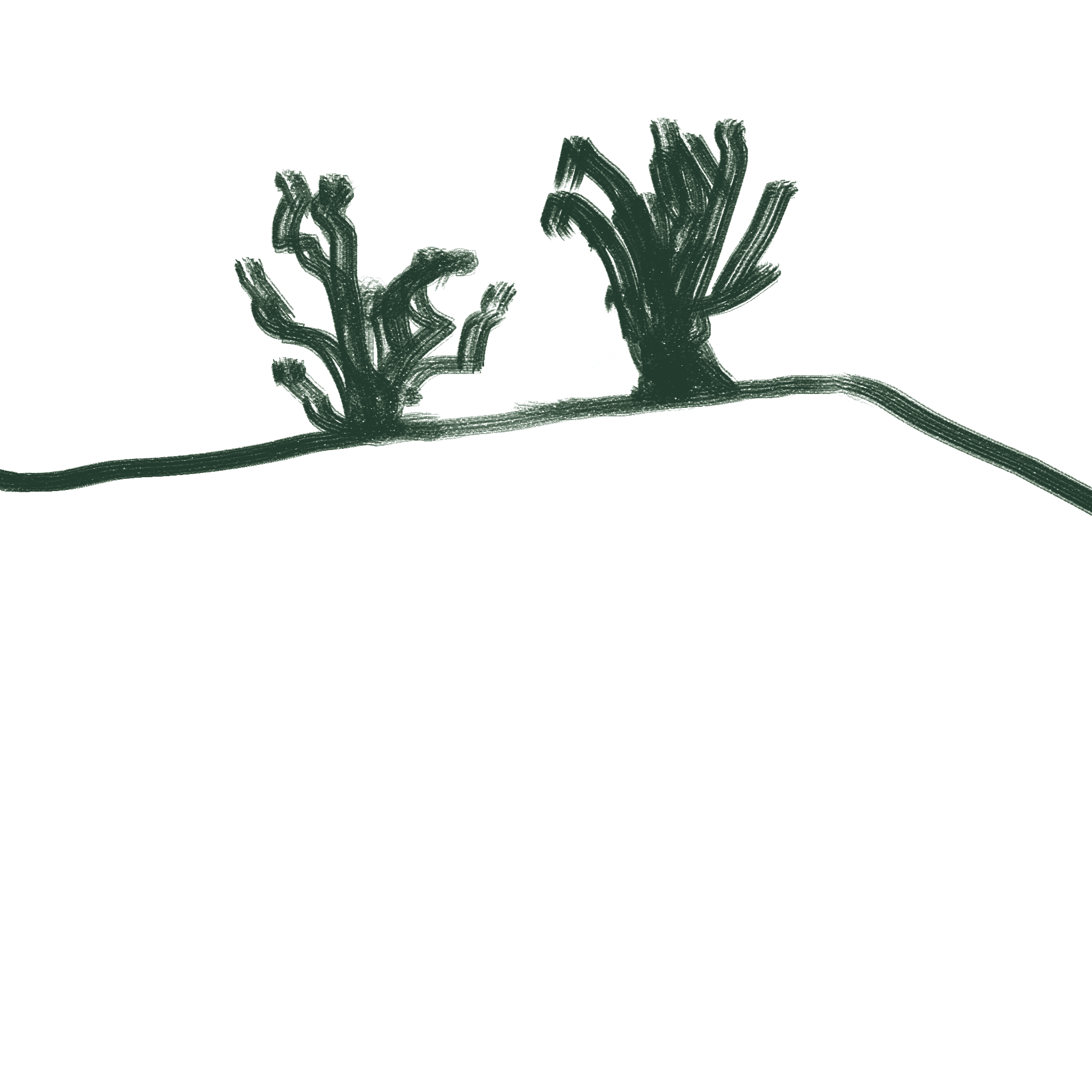 botany