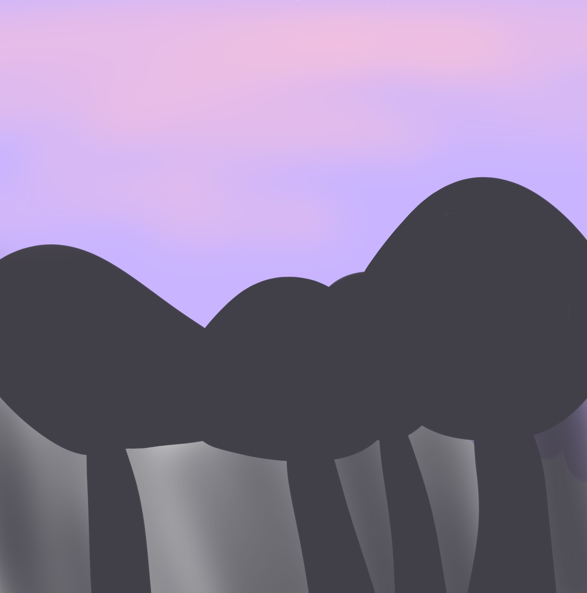 canopy