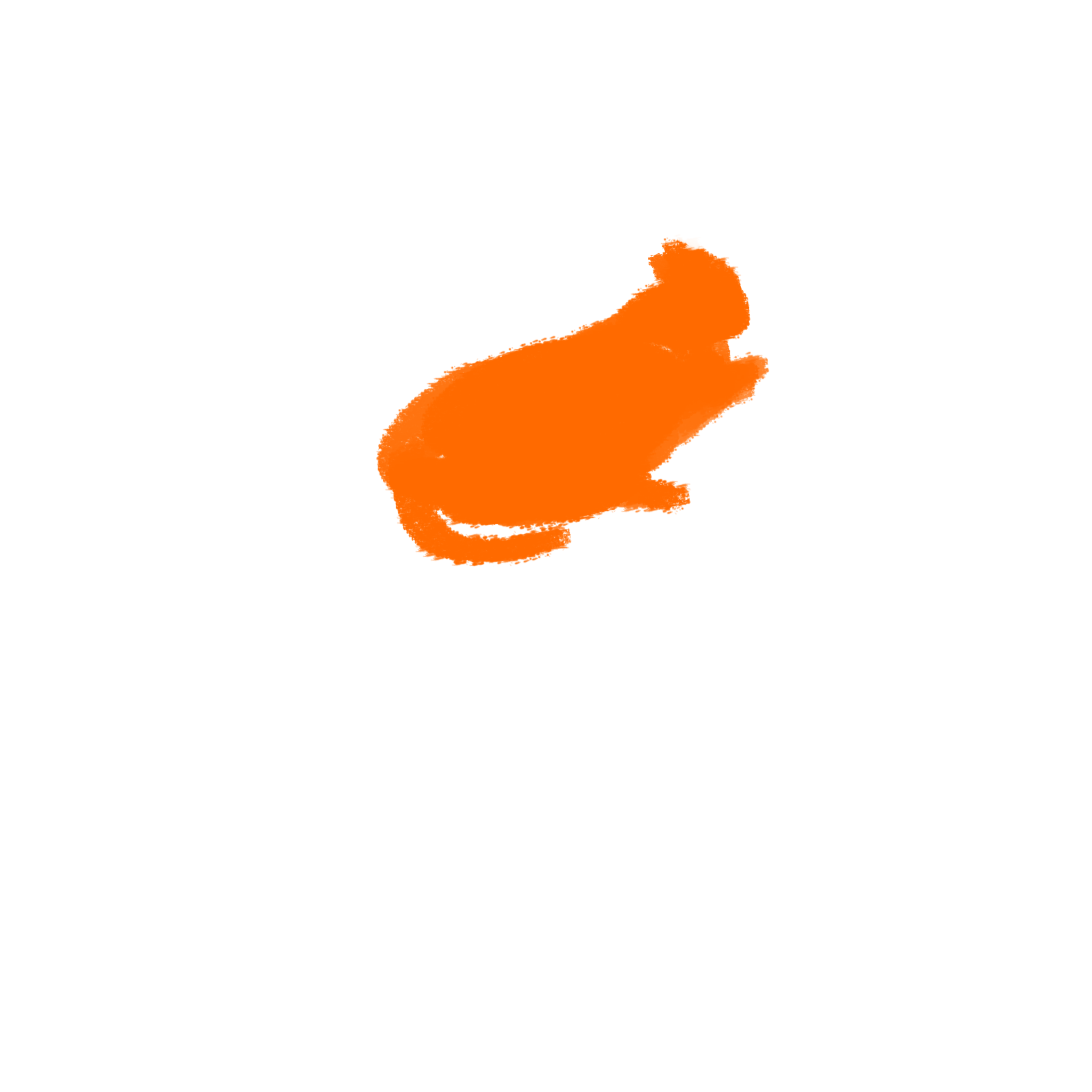cat 2