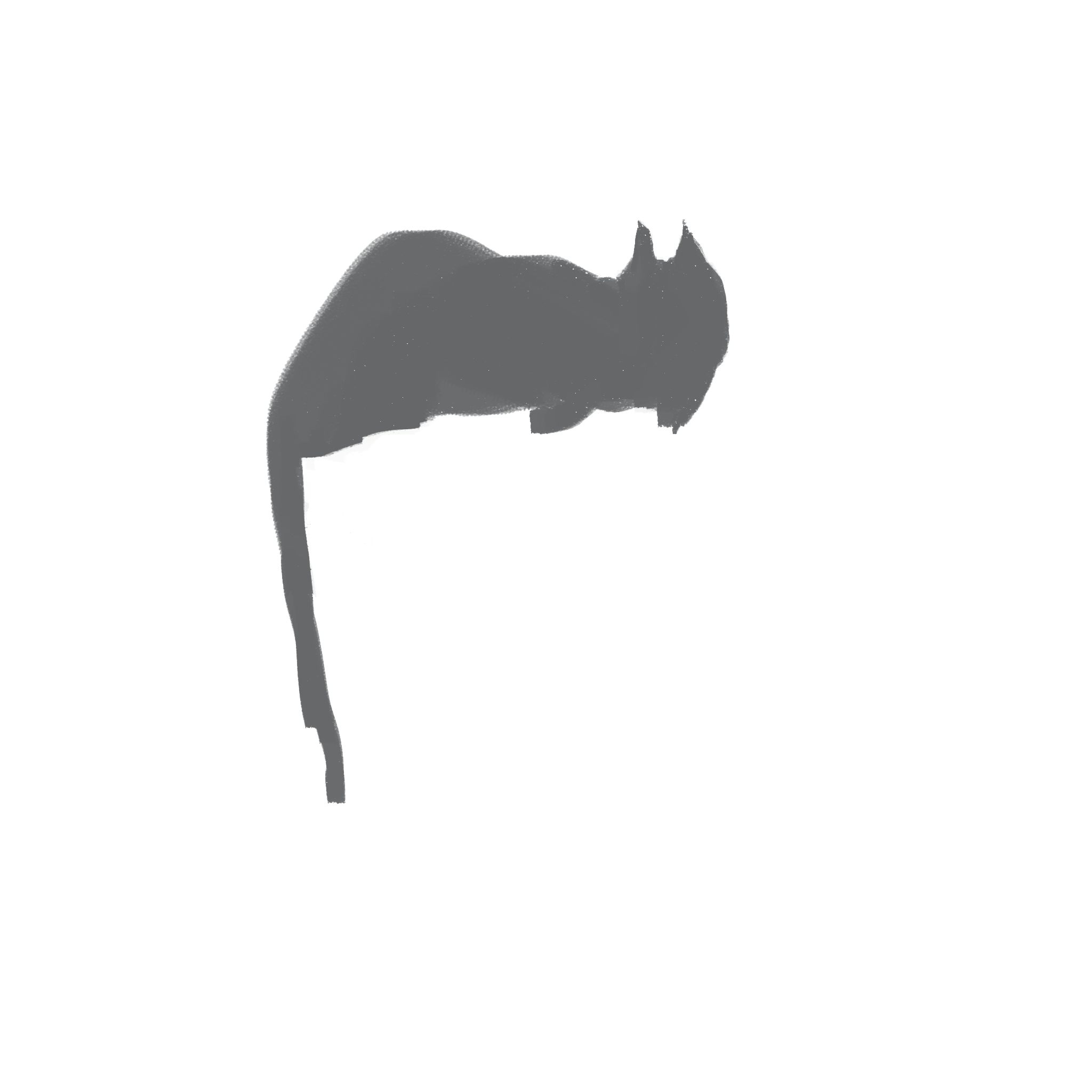 cat 5