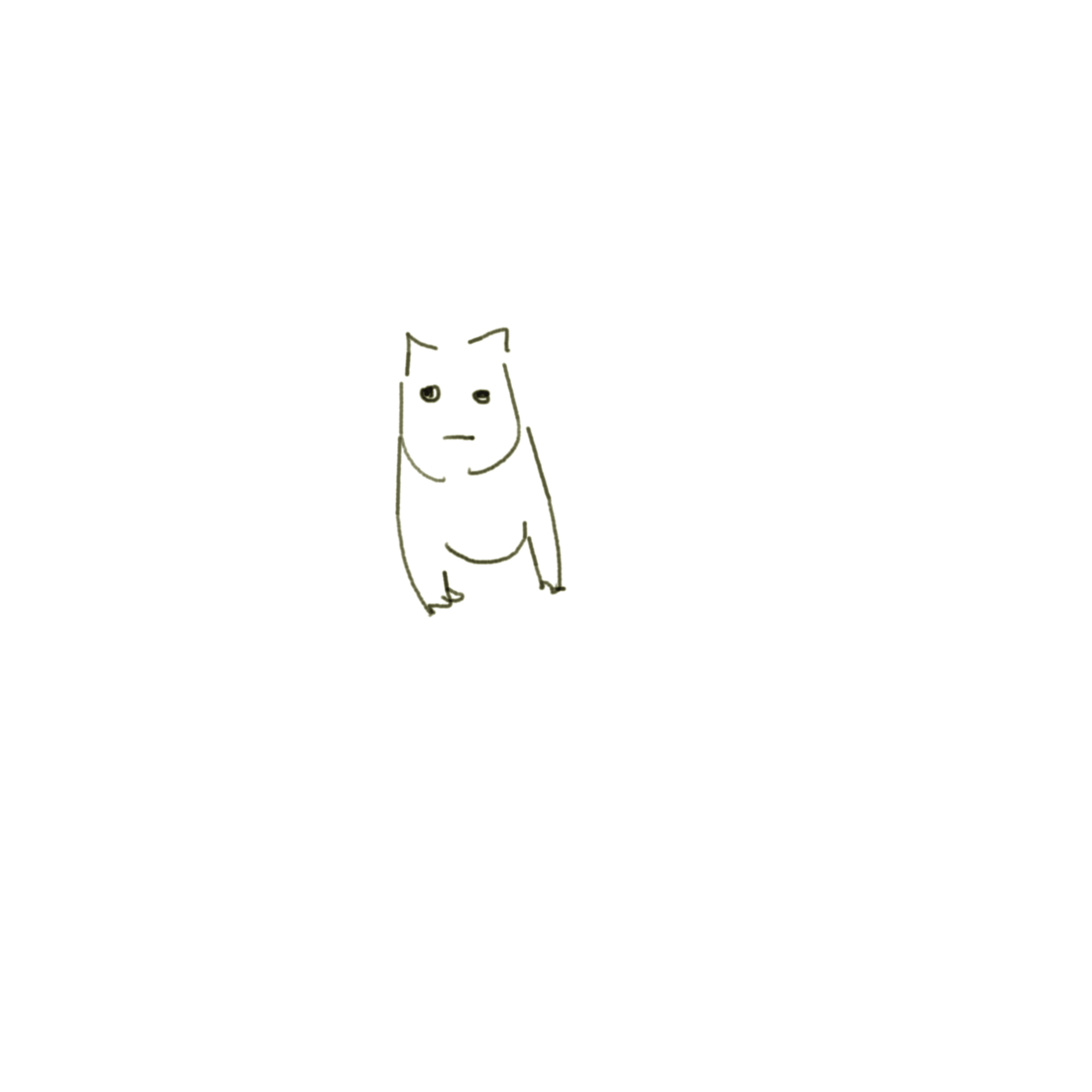 cat 6