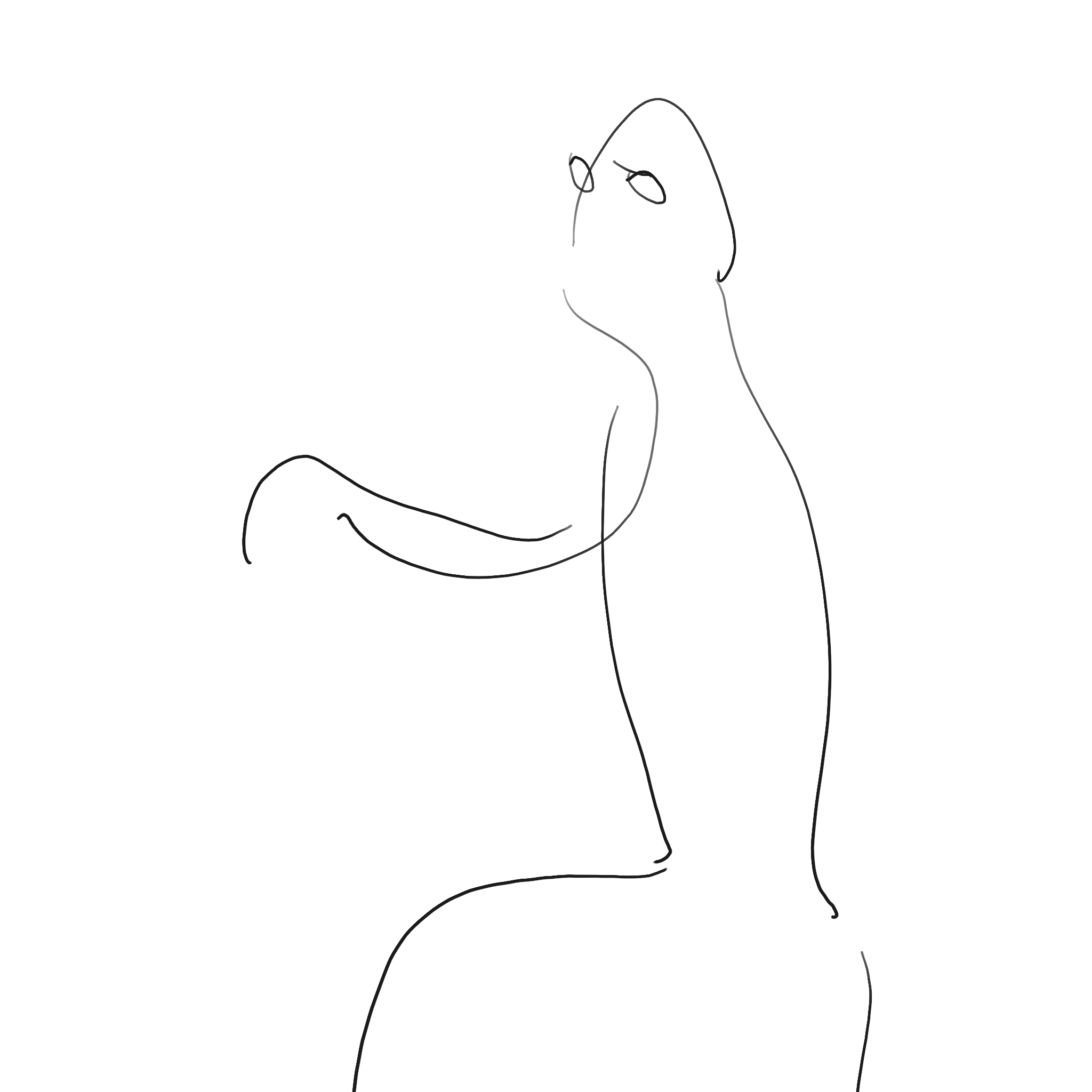 coder