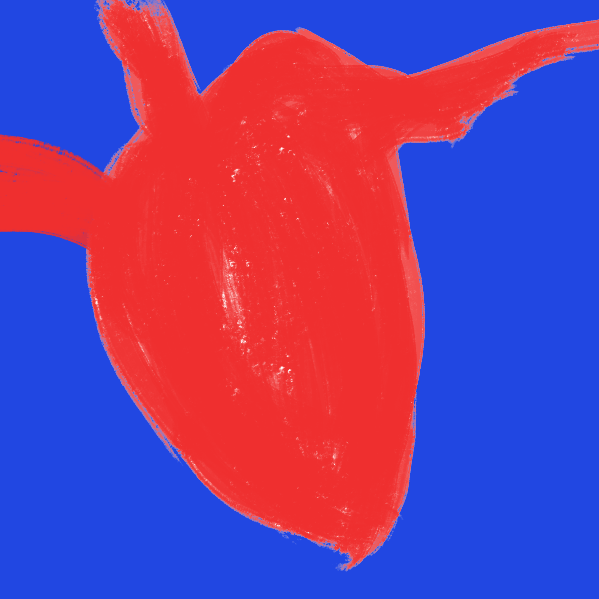 heart