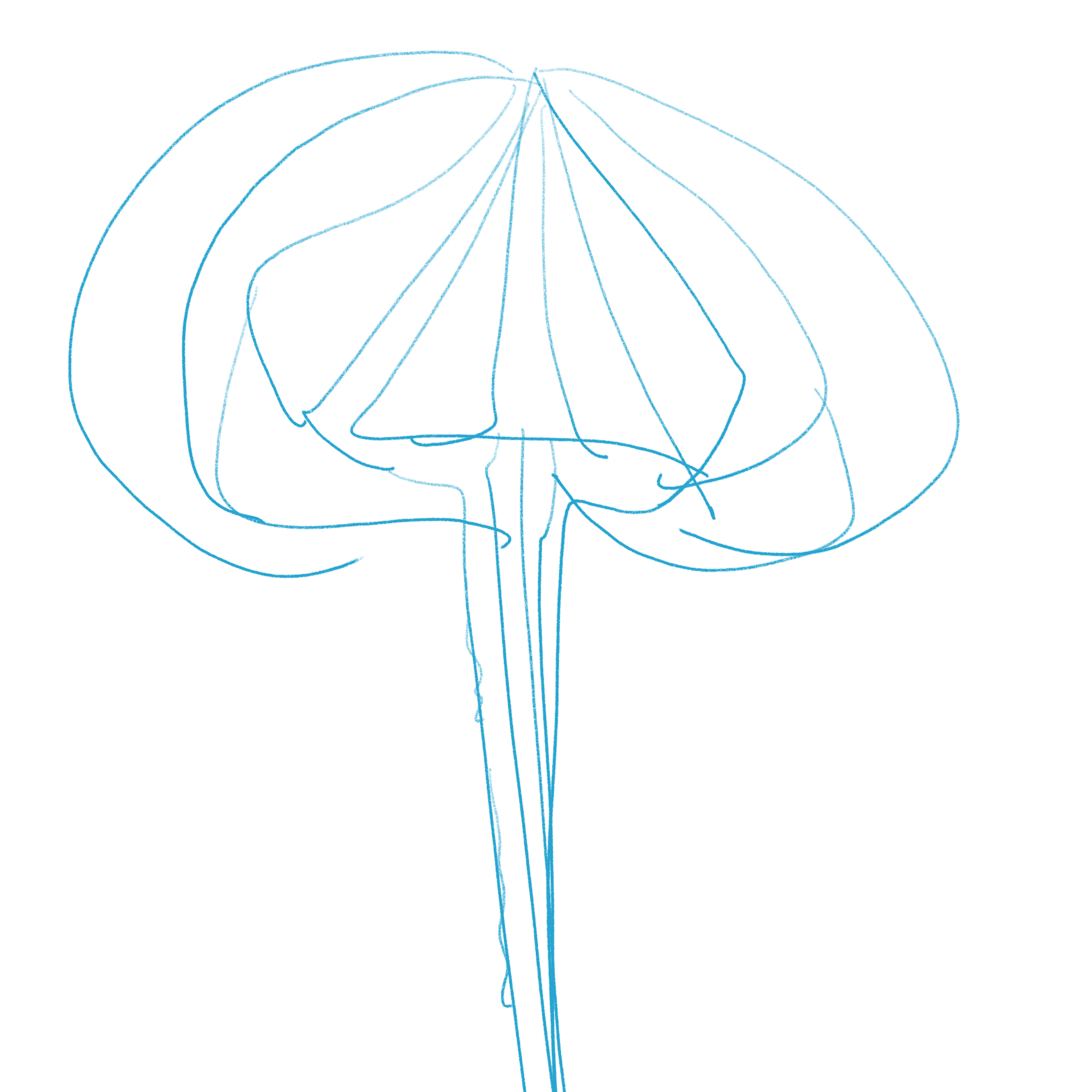 mushroom