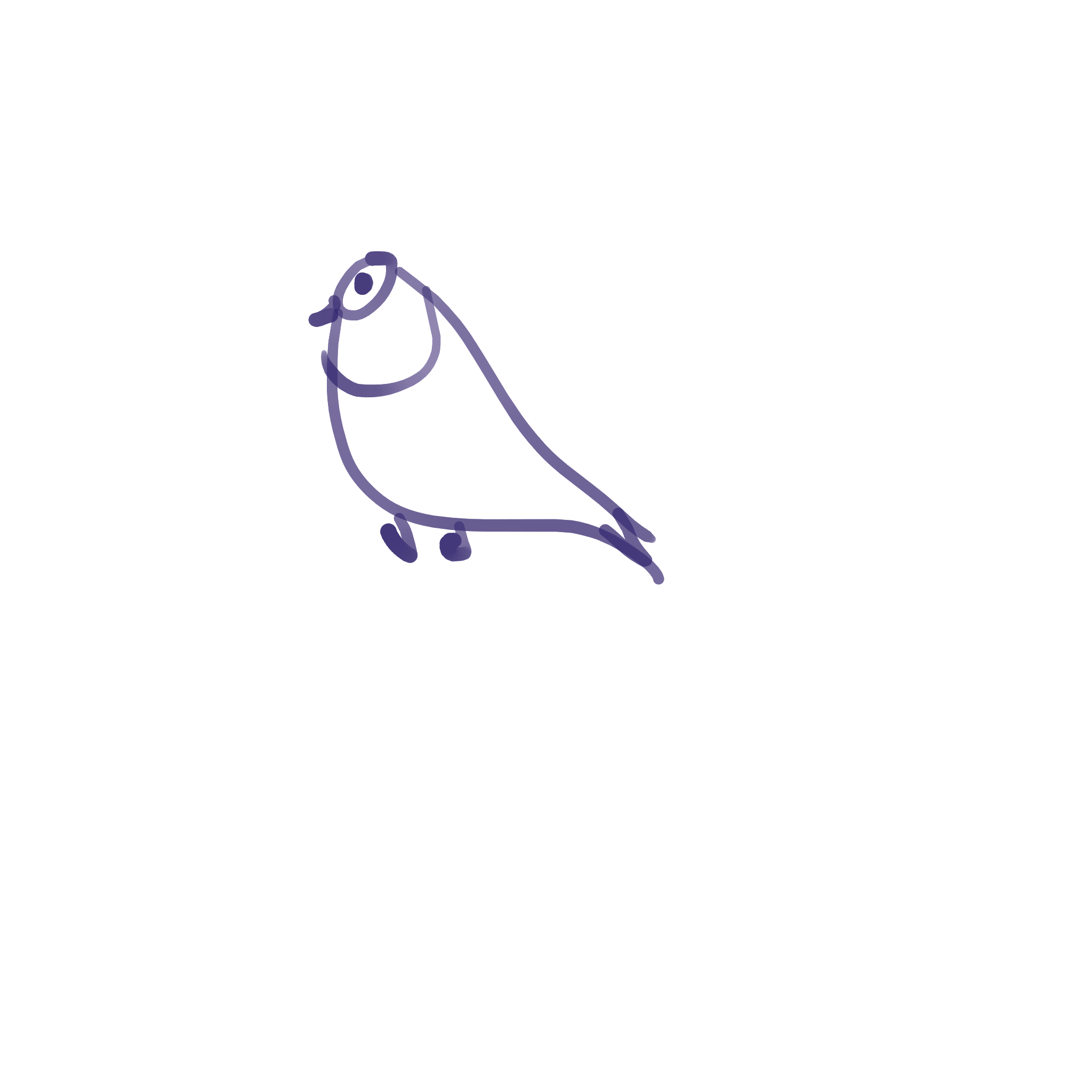 pigeon