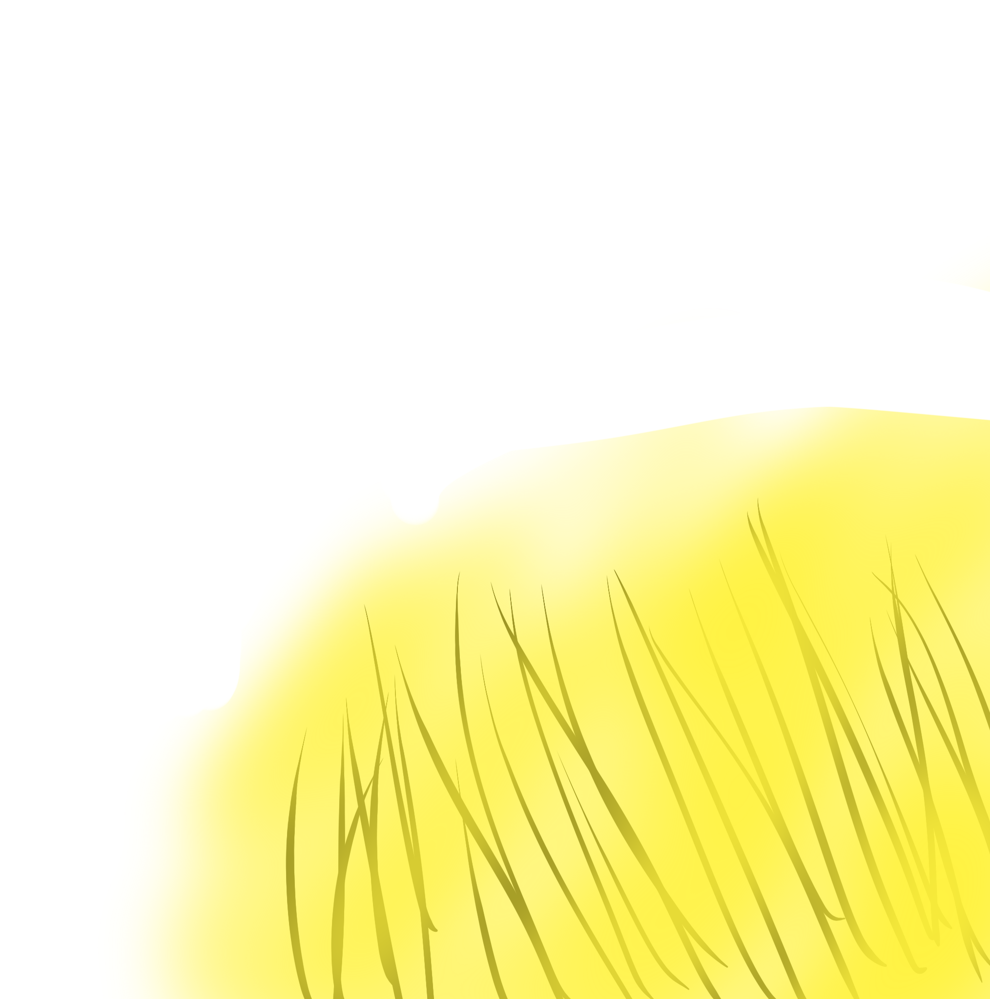 reeds