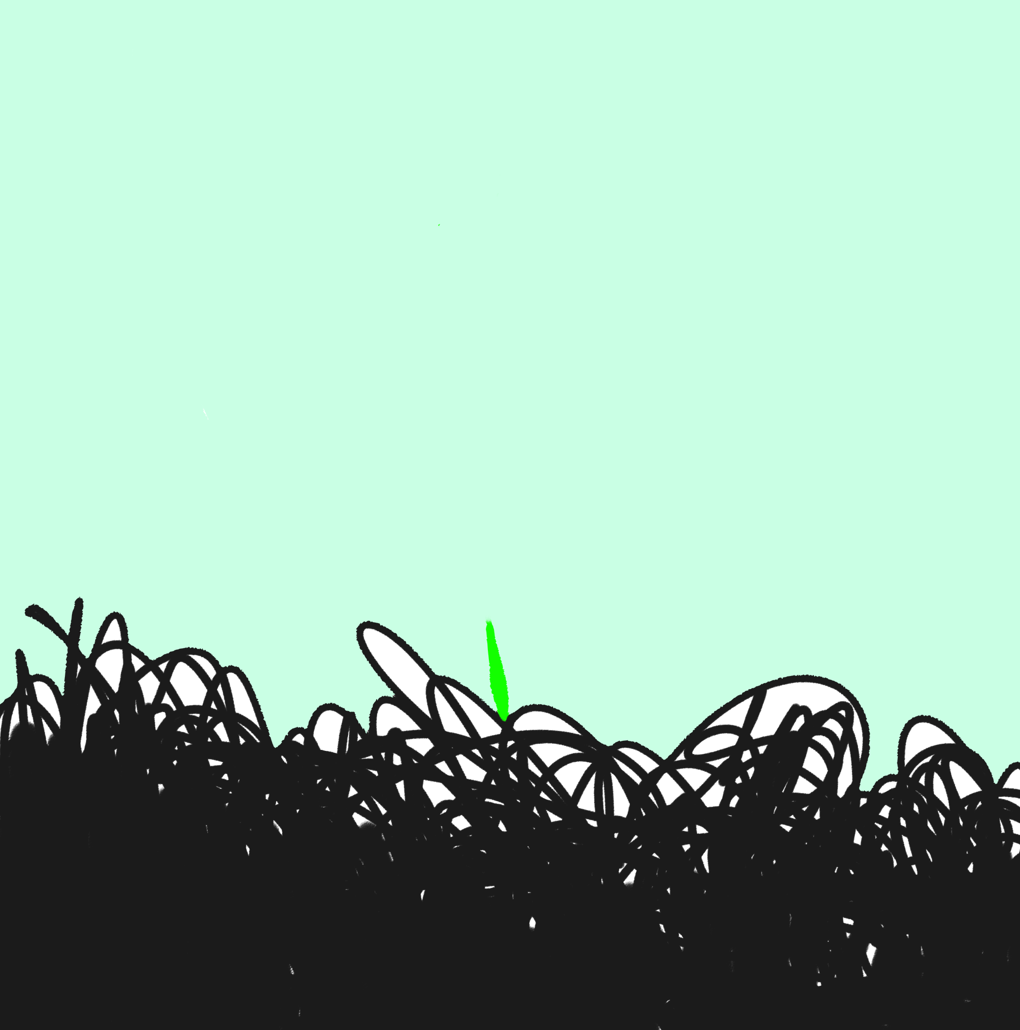 soil