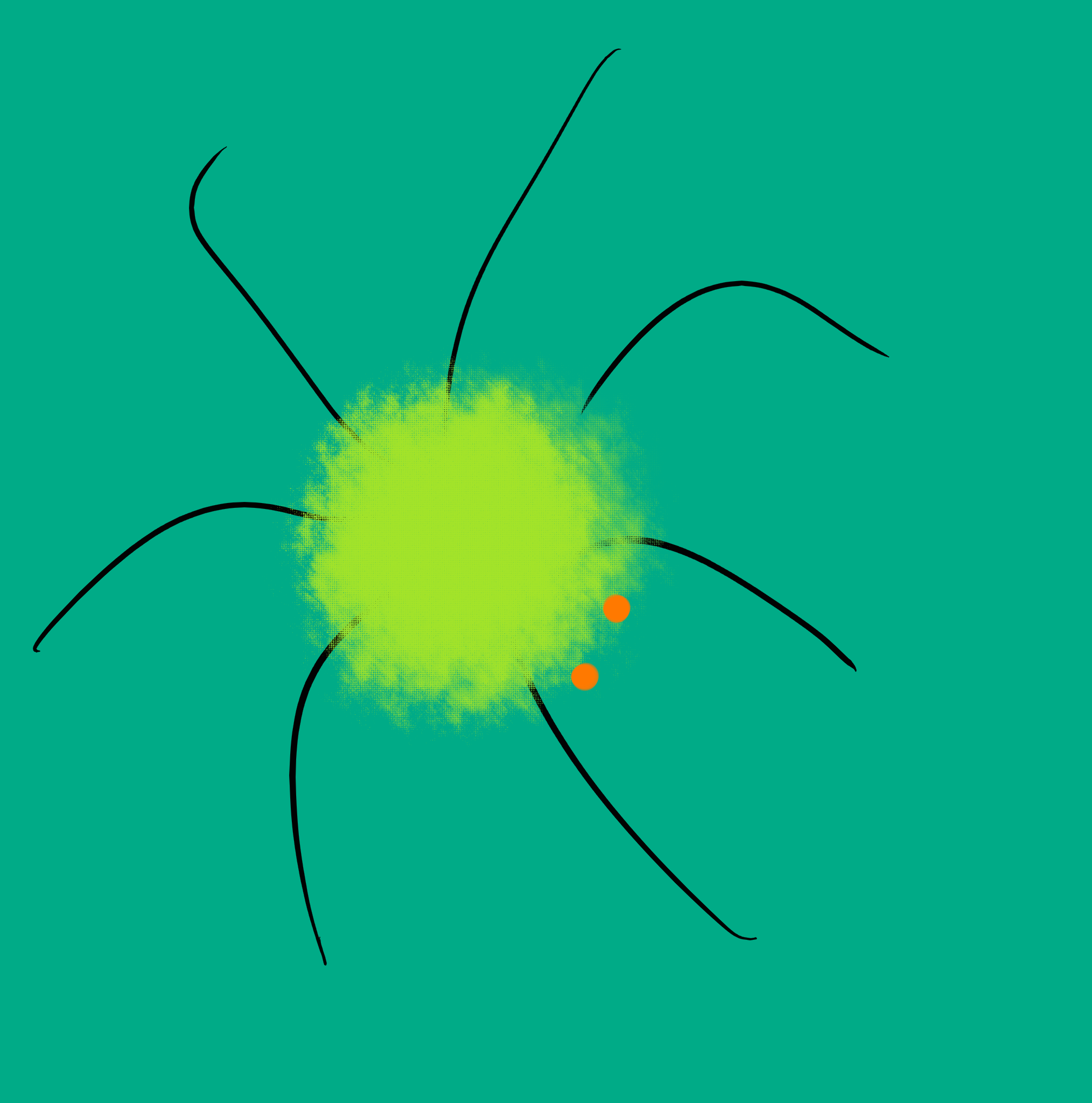 spider